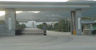 1555502946124515.jpg timg.jpg