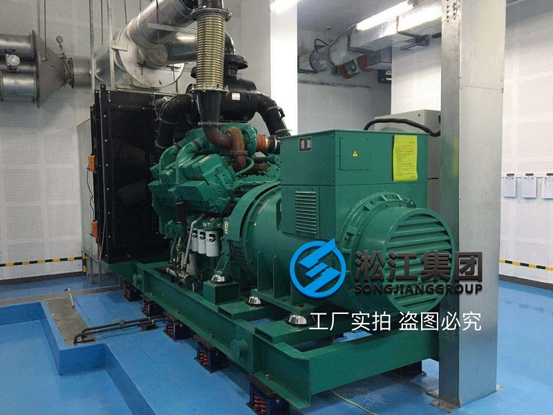 ZTF阻尼彈簧減振器大型柴油發電機安裝實例 ZTF阻尼彈簧減振器大型柴油發電機安裝實例