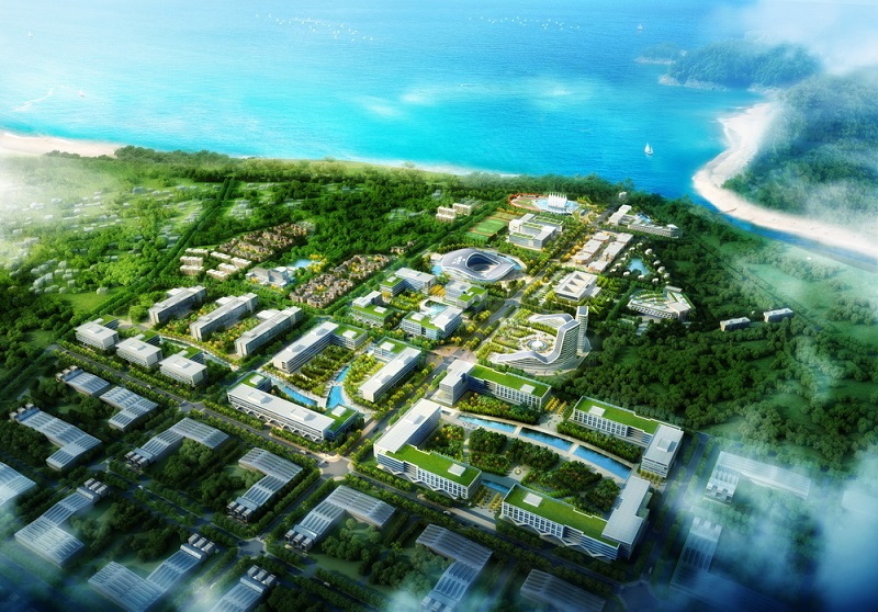 1617717262750169.jpg 1617717262750169.jpg